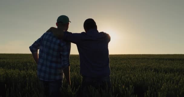 一个男人和他的儿子一起在麦田上观看日出 田间农民和家庭企业 — 图库视频影像