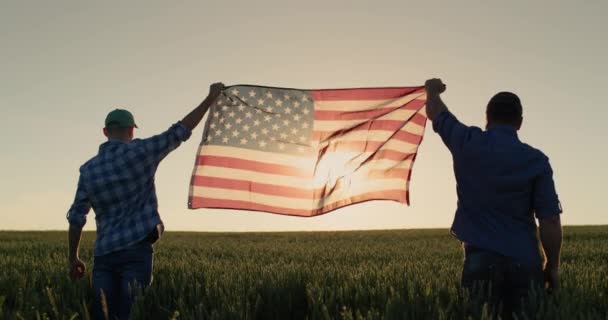 Dua Orang Mengibarkan Bendera Amerika Serikat Terhadap Latar Belakang Ladang — Stok Video