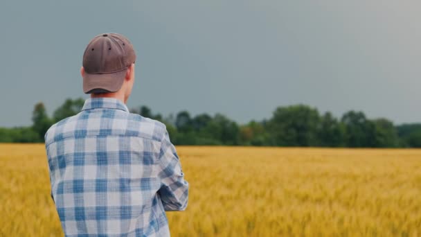 农民在日落时欣赏一片麦田 背景色 — 图库视频影像