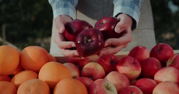 果実のスタンドの上にいくつかの熟した赤いリンゴを保持する農民の手 — ストック動画