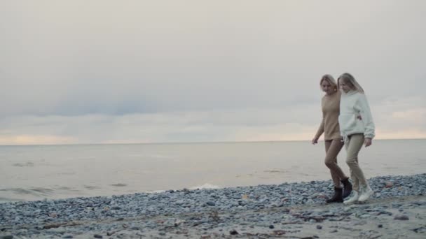 Uma Mulher Com Sua Filha Caminha Longo Praia Contra Pano — Vídeo de Stock
