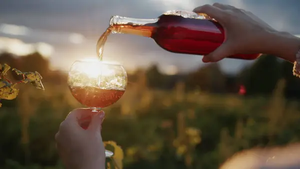 Wijnmaker Giet Rode Wijn Een Glas Staat Wijngaard Waar Zon Stockfoto