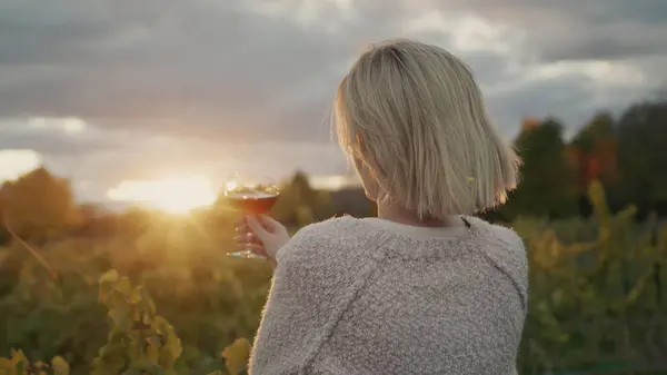 太陽が美しく沈むブドウ畑の背景には 赤ワインを手にした女性が立っています ストック画像