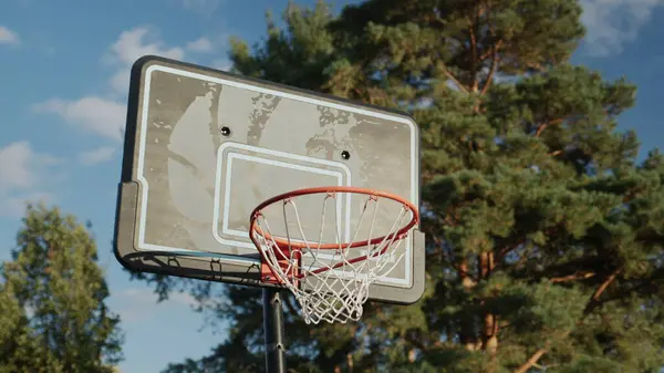 Basketbalhoepel Achtergrond Van Het Bos Sport Actieve Levensstijl Rechtenvrije Stockafbeeldingen