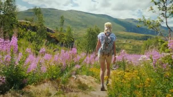 Eine Aktive Frau Geht Durch Ein Wunderschönes Tal Zwischen Blühenden — Stockvideo
