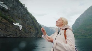 Bir kadın uçup giden bir martıyı besliyor. Konsepte güven ve evcilleştir. Norveç fiyortlarından geçeceğiz. 4k video