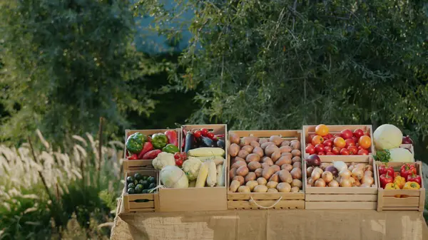 農家市場で野菜を使った美しい屋台 地元の農家からの健康的な食べ物 ストック写真