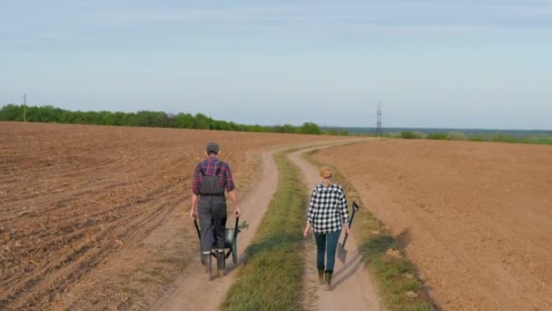 Два Фермера Идут Проселочной Дороге Между Полями Саженцы Перевозятся Тачке Лицензионные Стоковые Видео