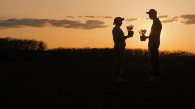 İki çiftçi gün batımında bir tarlada iletişim kurar. Ellerinde fideleri tutarak.