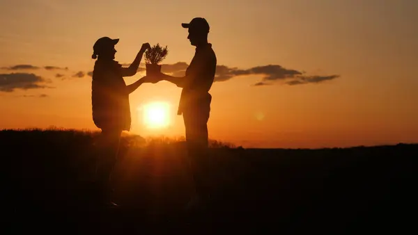 Zwei Bauern Mit Einem Sämling Der Hand Stehen Bei Sonnenuntergang lizenzfreie Stockfotos