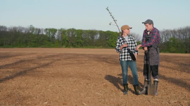 Dwóch Farmerów Mężczyzna Kobieta Stoją Polu Dyskusja Sadzeniu Drzew Trzymaniu — Wideo stockowe
