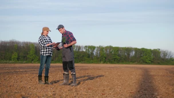 Dwóch Rolników Dyskutuje Polu Trzymając Sadzonki Rękach — Wideo stockowe