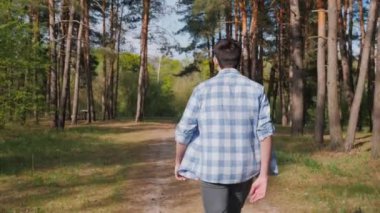 Genç bir adam pitoresk bir çam ormanında yürüyor. Arka plan