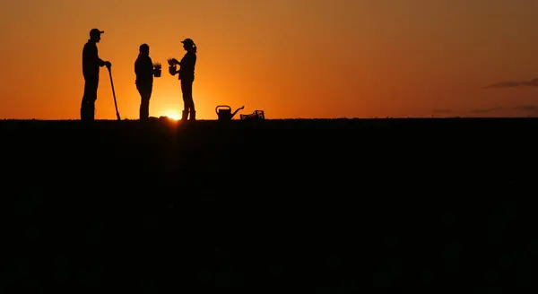 Gazdálkodók Egy Csoportja Palántákat Készül Ültetni Egy Mezőn Napnyugtakor Állva Stock Fotó