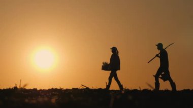 Erkek ve kadın çiftçilerin siluetleri. Gün batımında tarlada yürümek, çalışma aletleri ve fideleri taşımak. Yüksek kalite 4k görüntü