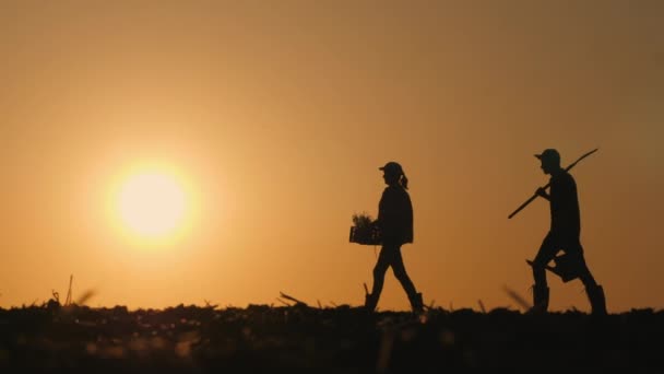 Erkek Kadın Çiftçilerin Siluetleri Gün Batımında Tarlada Yürümek Çalışma Aletleri — Stok video