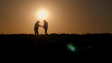 Gün batımında tarlada iletişim kuran ve tablet kullanan iki çiftçinin siluetleri. Yüksek kalite 4k görüntü