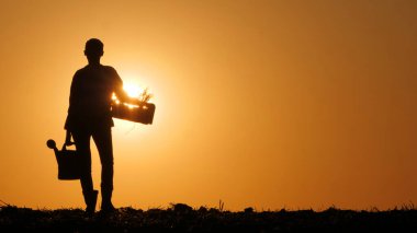 Gün batımında, tarlada bir kadın çiftçinin ana hatları görünür, bir su kovası ve bir fidan tutarak.