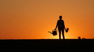Batan güneşin altında, bir kadın çiftçinin silueti elinde bir su ve fidanla bir tarlada duruyor.