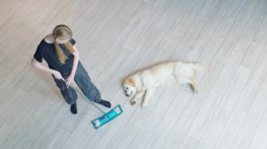 Genç bir kız evcil hayvan patilerinin izleriyle yerleri yıkıyor. Köpek yakınlarda yatıyor. Yüksek kalite 4k görüntü