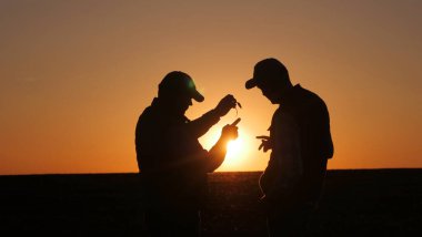 İki çiftçi, resimli bir günbatımının arka planında duran bir tarlada filizlenmeyi inceliyor. Yüksek kalite fotoğraf