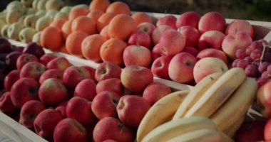 Meyveli tezgah, elmalar, portakallar ve muzlar. Fuardaki yerel çiftçilerin meyveleri..