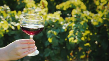 Bir el, üzüm bağının arka planında beyaz şaraplı bir bardak tutuyor. Şaraphanede şarap tatma.
