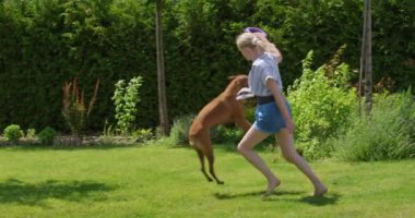 Arka bahçe ortamında, bir kadın enerjik bir Alman boksörle dövüşürken görülüyor. Köpek, sersemletici ağır çekimde yakalanan bir oyuncağı yakalamayı hedefleyerek havaya sıçradı. Bu sahne şunu vurgular: