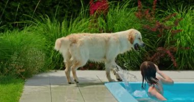 Neşeli bir kız havuzda yüzerken, havuz kenarında heyecanlı bir şekilde koşan bir Golden Retriever ile gülüp oynarken görülüyor. Sahne eğlenceli ve eğlenceli bir anı yakalıyor, bağı vurguluyor