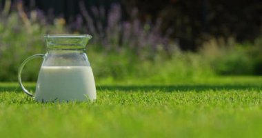 Soğuk sütle dolu bir sürahi bir evin arka bahçesindeki yeşil çimlerin üzerine kurulur. Parlak güneş ışığı dingin ve ferahlatıcı sahneyi güçlendirir. Sıcak, güneşli bir gün için mükemmeldir. Huzurlu bir ortam yaratır.