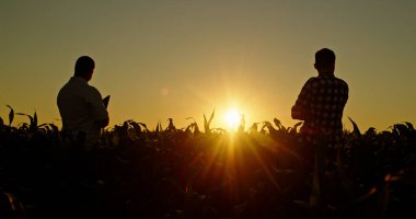 İki kendine güvenen çiftçi, bir mısır tarlasının üzerinde gün batımını izlerken yan yana durur. Batan güneşin ılık renkleri, kırsal hayatın huzur ve güzelliğini vurgulayan sahnede huzur dolu bir parıltı yayıyor.