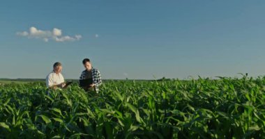 Güzel bir mısır tarlasında, her ikisi de çiftçi olan bir baba ve oğul bir dizüstü bilgisayar ve tablet kullanarak birlikte çalışırlar. Bu pitoresk sahne modern teknolojinin geleneksel tarım ile harmanlanmasını yakalıyor.