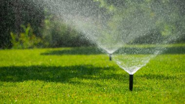 Birkaç fıskiyeler güneşli bir günde yemyeşil bir çimenliği aktif sulayarak parlak güneş ışığında parlayan ince bir su damlası sisi oluşturuyorlar. Bu canlı sahne ferahlatıcı ve...
