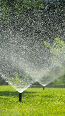 Birkaç fıskiye, yemyeşil çimlerin üzerine ince su damlacıkları püskürterek güneşli bir günde ferahlatıcı bir sis oluşturur. Güneş ışığı suyun içinde parıldıyor, canlı ve kuyuyu aydınlatıyor.