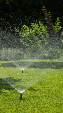 Birkaç fıskiye aktif olarak bahçedeki yemyeşil çimenleri sulayarak parlak güneş ışığında parlayan ferahlatıcı bir su damlası sisi oluşturuyor. Bu canlı sahne, bir şeyin özünü yakalar.