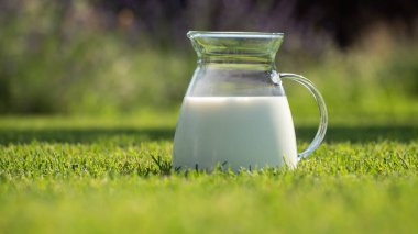 Soğuk sütle dolu berrak bir cam sürahi bahçedeki yeşil çimlerin üzerinde duruyor. Çevreleyen yemyeşil ve yumuşak güneş ışığı dinlendirici bir atmosfer yaratır, rahatlatıcı bir yaz için idealdir.