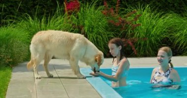 İki genç kız havuzda yüzerken ve eğlenirken görülürken, bir Golden Retriever havuz kenarında eğlenceli bir şekilde koşuyor. Sahne eğlenceli ve canlı bir anı yakalıyor.