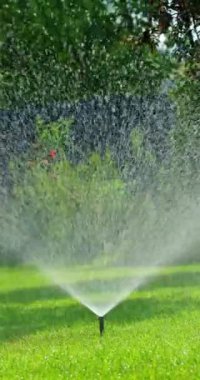Birkaç fıskiye, yemyeşil çimlerin üzerine ince su damlacıkları püskürterek güneşli bir günde ferahlatıcı bir sis oluşturur. Güneş ışığı suyun içinde parıldıyor, canlı ve kuyuyu aydınlatıyor.