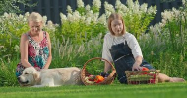 Bir kadın ve kızı pikniğe hazırlanmak için sepetlere sebze koyuyorlar. Yakınlarda sevimli bir Golden Retriever yatar, sıcak ve büyüleyici atmosfere katkı sağlar. Sahne aileyi yakalar.