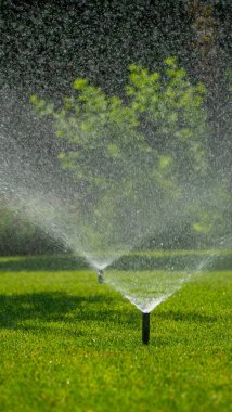 Birkaç fıskiye aktif olarak bahçedeki canlı yeşil çimenleri sulayarak parlak güneş ışığında parlayan su damlacıklarından oluşan bir sis oluşturuyor. Bu ferahlatıcı sahne iyi korunan ve