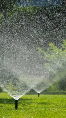 Birkaç fıskiye aktif olarak yemyeşil çimenleri sulayarak parlak güneş ışığında parlayan su damlacıklarından oluşan ince bir sis oluşturuyor. Bu sahne, bakımlı bir bahçenin özünü yansıtıyor.