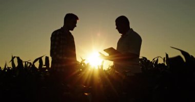 İki adam mısır tarlasının önünde duruyor, güneş arkalarından batarken güvenle el sıkışıyorlar. Günbatımının ılık renkleri, ortaklığın önemini vurgulayan pitoresk bir sahne yaratır.