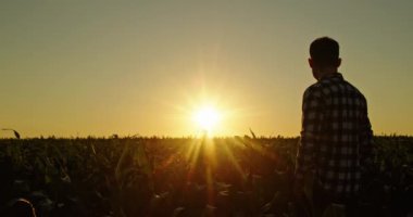 Kendine güvenen genç bir adam kameraya sırtını dönmüş mısır tarlasında güneşin batışını seyrediyor. Batan güneşin ılık renkleri sakin bir atmosfer yaratıyor. Güzelliği ve huzuru vurguluyor.
