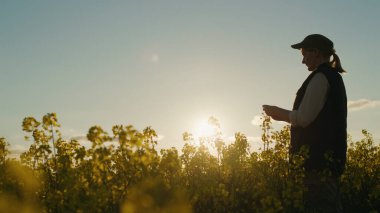 Batan güneşin arka planında, bir kadın çiftçi bir yakut tohumu tarlasında duruyor, kırsal çevrenin güzelliğine dalmış.