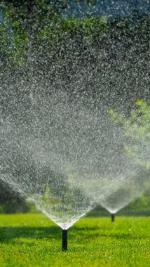 Birkaç fıskiyeler yemyeşil çimenleri sulayarak parlak güneş ışığında parlak bir su damlası sisi oluşturuyor. Canlı sahne canlandırıcı ve iyi korunmuş bir atmosferi yakalar.