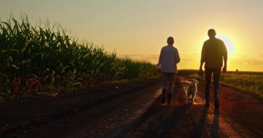 Alacakaranlıkta, genç bir çiftin siluetleri geniş tarlalarla çevrili bir köy yolunda yürüyor. Golden Retriever 'ları yanlarında sevinçle koşuyor, dinginliğe canlılık katıyor ve