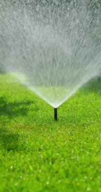 Birkaç fıskiye aktif olarak bahçedeki yemyeşil çimenleri sulayarak parlak güneş ışığında parlayan ferahlatıcı bir su damlası sisi oluşturuyor. Bu canlı sahne, bir şeyin özünü yakalar.