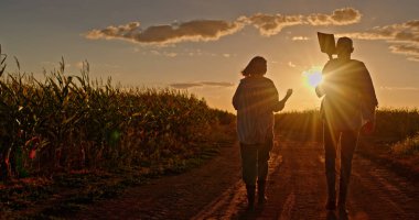 İki çiftçi, batan güneşe karşı bir mısır tarlasının yanındaki toprak yolda yürürken siluete bürünür. Günbatımının altın ışığı uzun gölgeler oluşturur, sahneyi sıcak ve huzurlu bir şekilde aydınlatır.