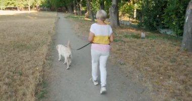 Enerjik yaşlı bir kadın köpeğiyle birlikte sabah koşusundan zevk alır. Sahne, yaşlının zindelik ve aktif yaşam tarzını vurguluyor. Formda ve iyi olmaya olan bağlılığını vurguluyor.
