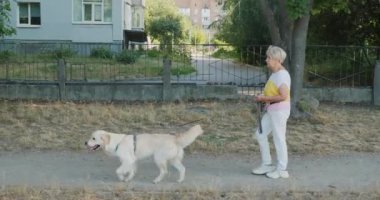 Enerjik, yaşlı bir kadın köpeği tasmalı bir şekilde parkta Golden Retriever 'ıyla yürümekten zevk alıyor. Sahne, aktif yaşam tarzını vurgulayarak kadınla evcil hayvanı arasındaki bağı yakalıyor.